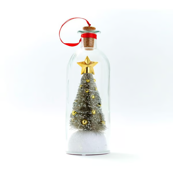 🎄Christmas Voice Wish Bottle