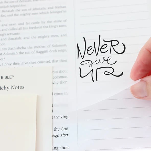 🙏🏼Bible Reading In One Year: A 52-Week Journey Through God's Word