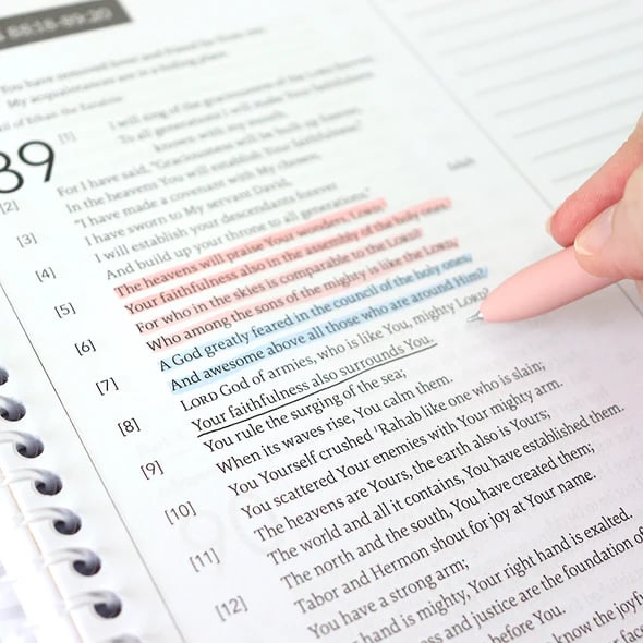 🙏🏼Bible Reading In One Year: A 52-Week Journey Through God's Word